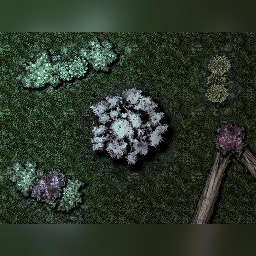 Spring Forest Night Maps