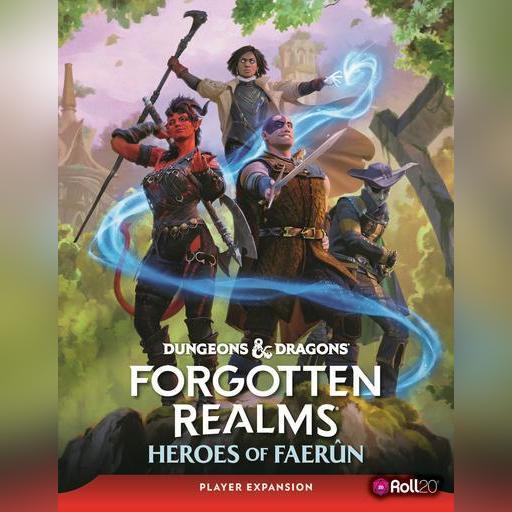 D&D Forgotten Realms Heroes of Faerun