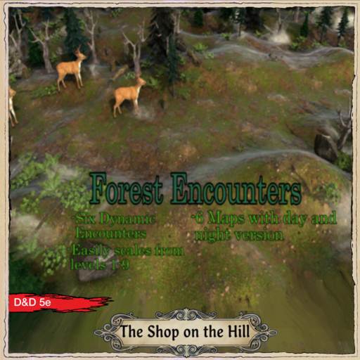 Forest Encounters 