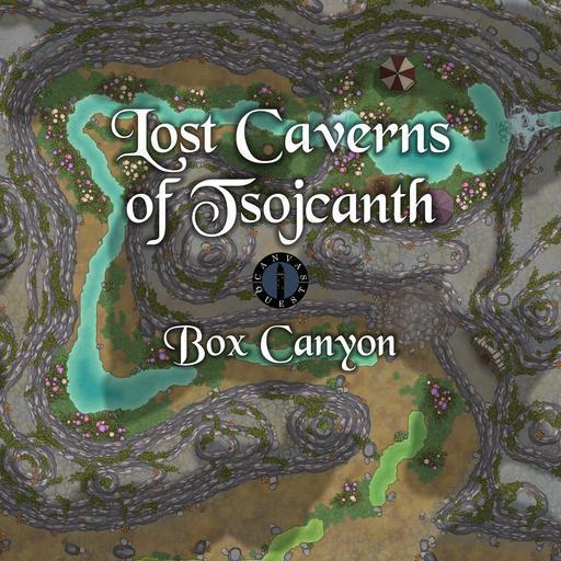 The Lost Caverns of Tsojcanth: Box Canyon